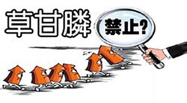 歐盟表決近年會對草甘膦的使用作出限制，并積極尋求草甘膦代替品，草甘膦出口面臨尷尬局面。