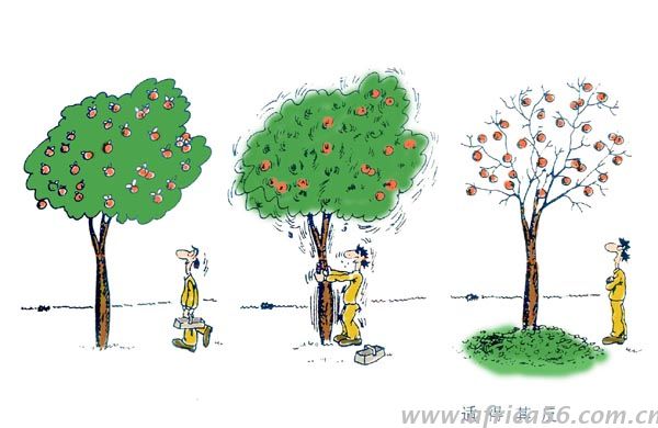 尼日利亞限制部分商品進口，結果適得其反。