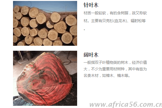 在《稅則》中，原木大致按針葉木、熱帶木、紅木、其他闊葉木來分類。
