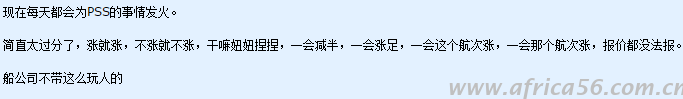 什么是旺季附加費？