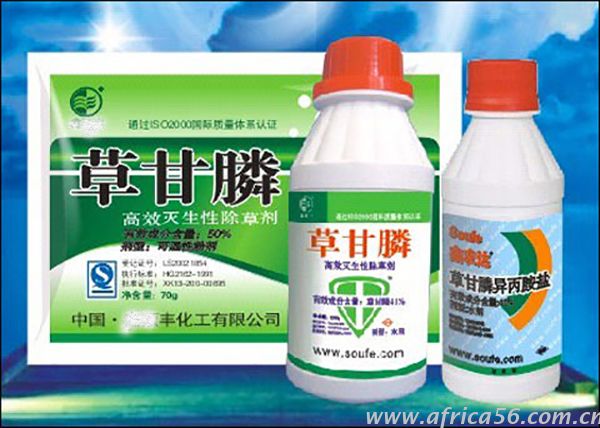 草甘膦出口專家，旭洲物流帶來好消息，草甘膦在斯里蘭卡迎來新生了