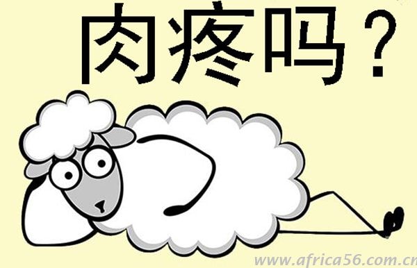 貨物到達(dá)目的港才發(fā)現(xiàn)提單出錯(cuò)？粗心程度旭洲物流只服你！