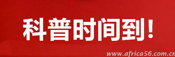 海運(yùn)提單是你想換就能換的嗎？_旭洲物流