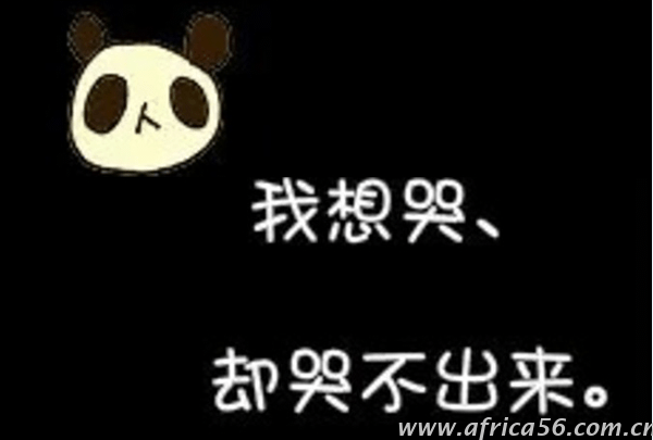 年關(guān)將至，查驗率飆升，今天，你被查了嗎？_旭洲物流