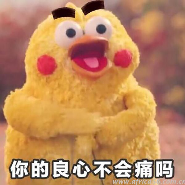 18家船公司稱下調(diào)碼頭操作費，但是費用真降了嗎？_旭洲物流